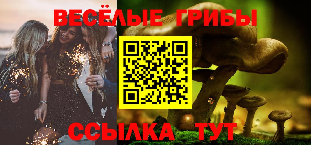 Псилоцибиновые грибы GOLDEN TEACHER  Вход с VPN  Орск 